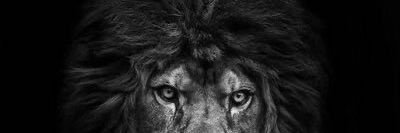 LamboDaw's profile banner image