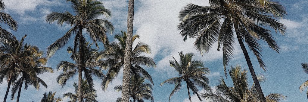 KianiTausala's profile banner image