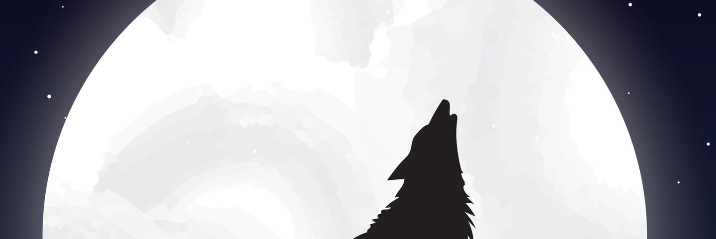 Midnight banner