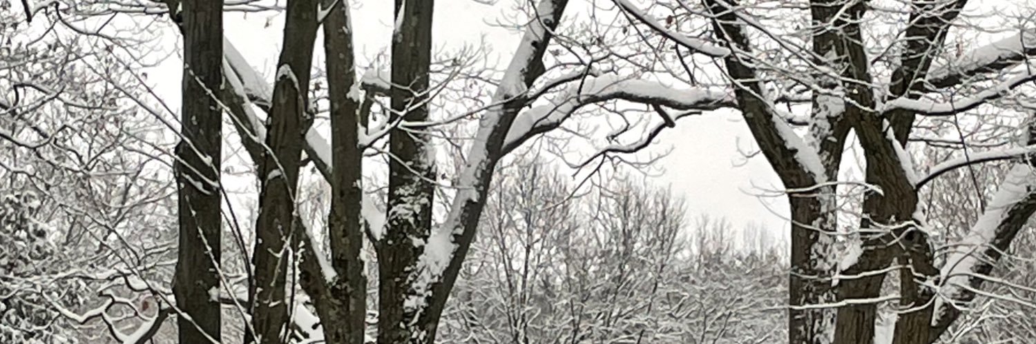 fauxvide's profile banner image
