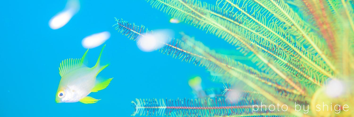 yuta3822's profile banner image