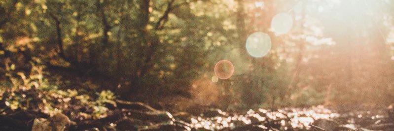 NaomiClarkPsy's profile banner image