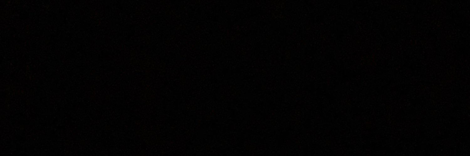 BerrySonny's profile banner image