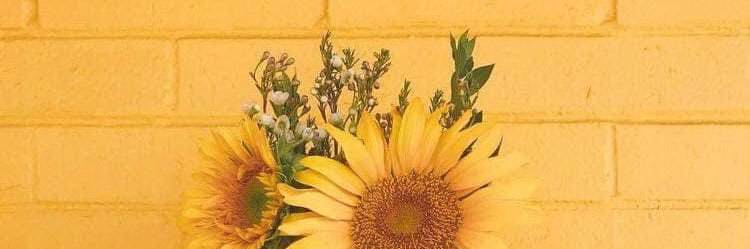 tweetleticia's profile banner image