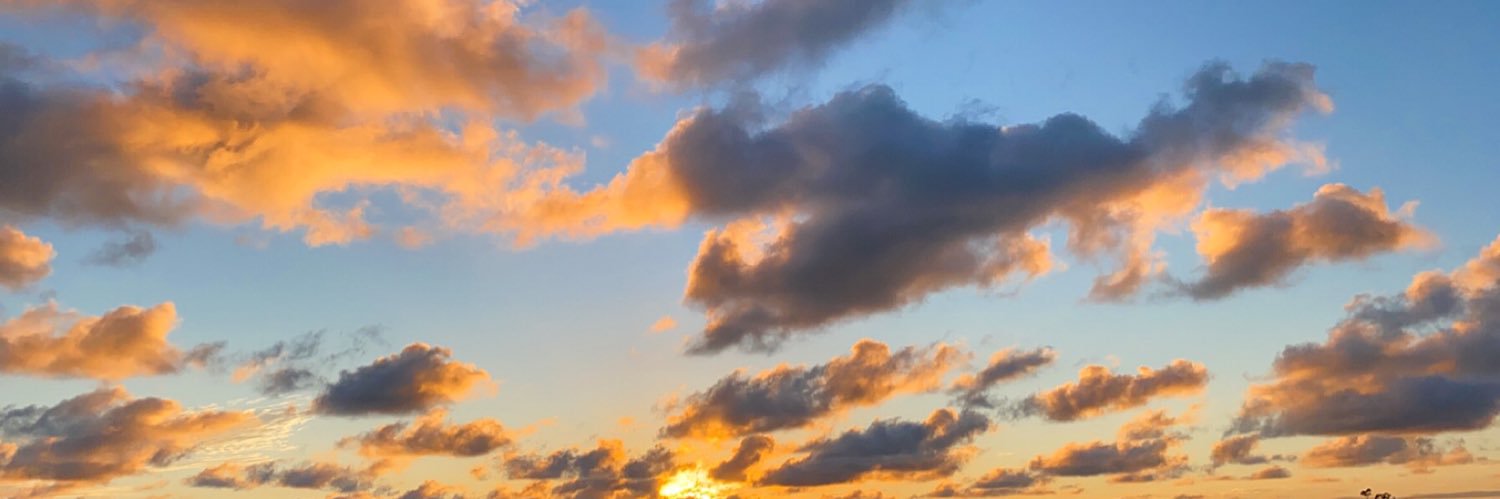 jadyn_tran's profile banner image