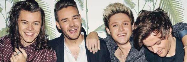 luzkarime1D's profile banner image