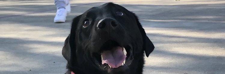 Tweeticus0's profile banner image