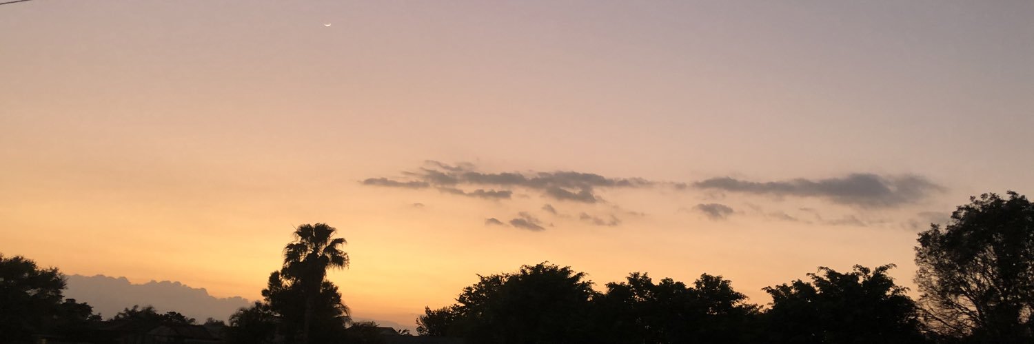 Ugartee's profile banner image