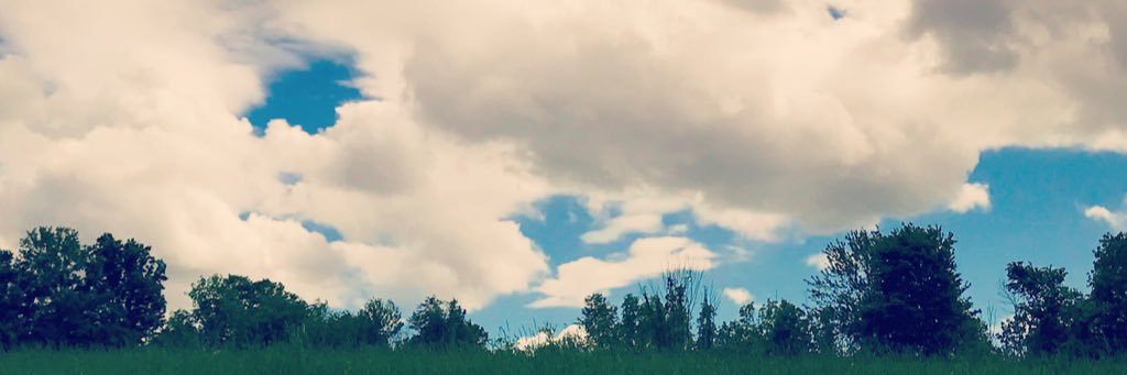 nathanvkoch's profile banner image