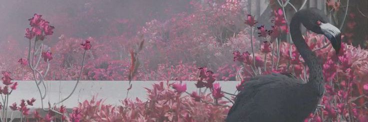_telomeres's profile banner image