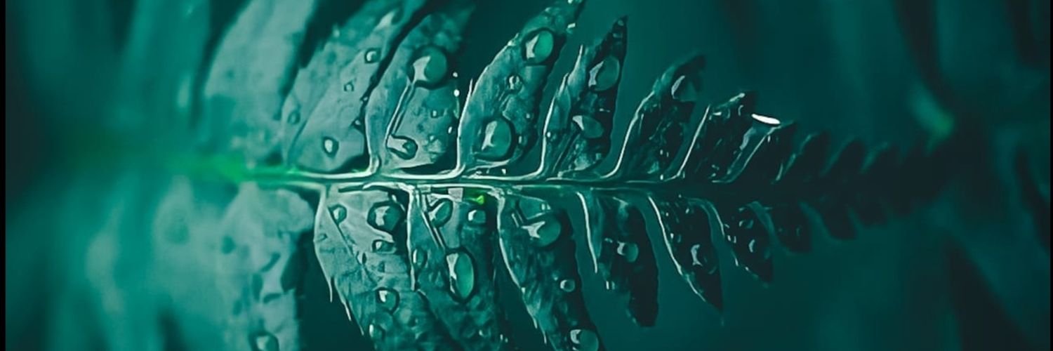 AwbaikanSaja_'s profile banner image