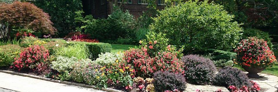 TorontoGardener's profile banner image