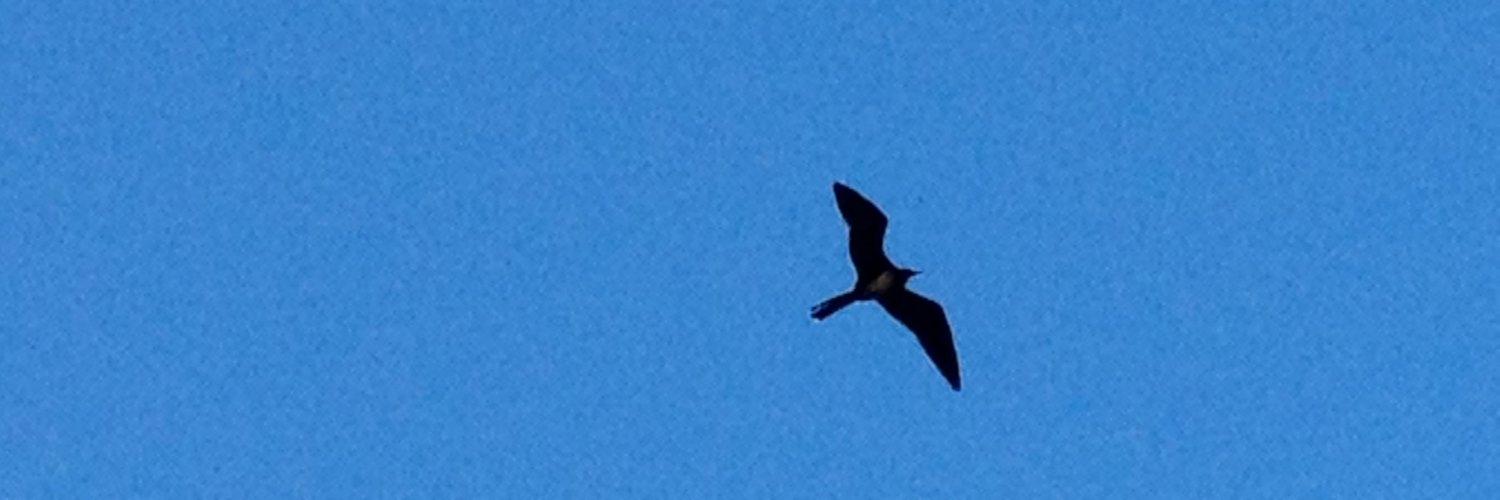 ฬคгקєг banner