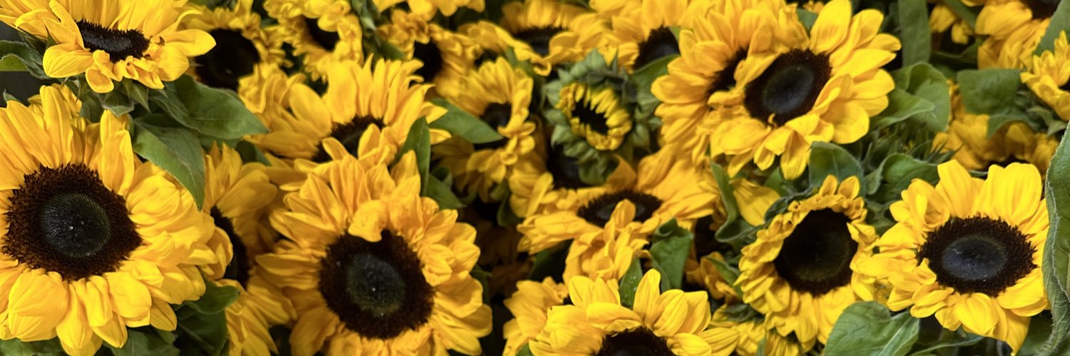 daijaj_'s profile banner image