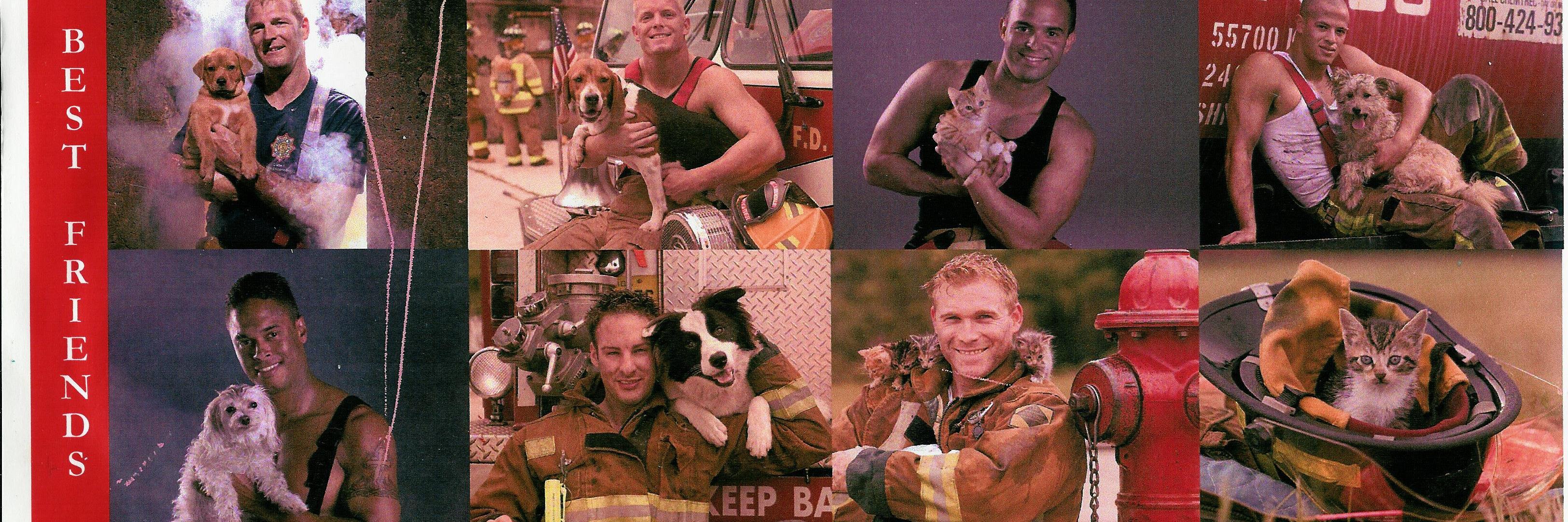 RescueRover's profile banner image