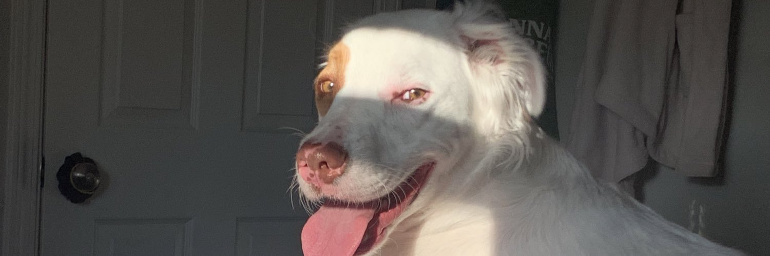 dudeolivia's profile banner image