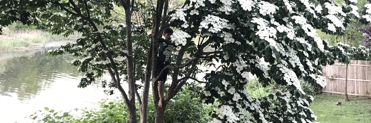 Kirsty Sucato banner