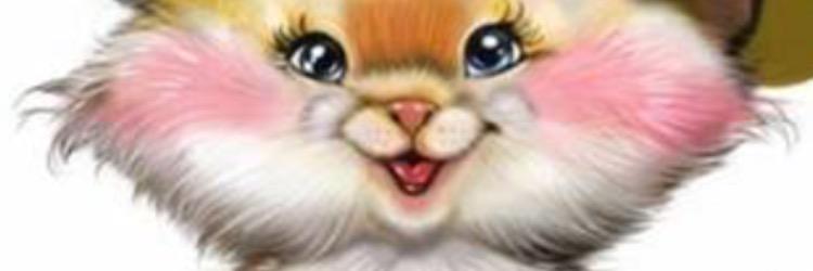 mnadra7f's profile banner image