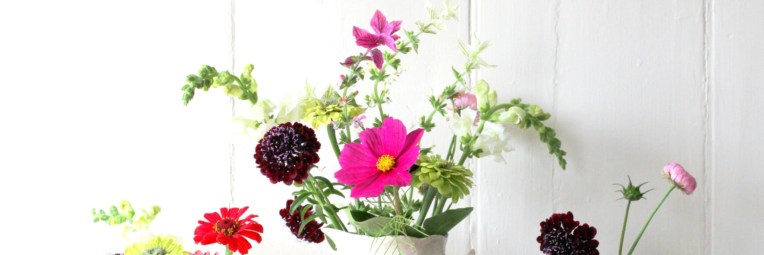 fieldandbloom's profile banner image