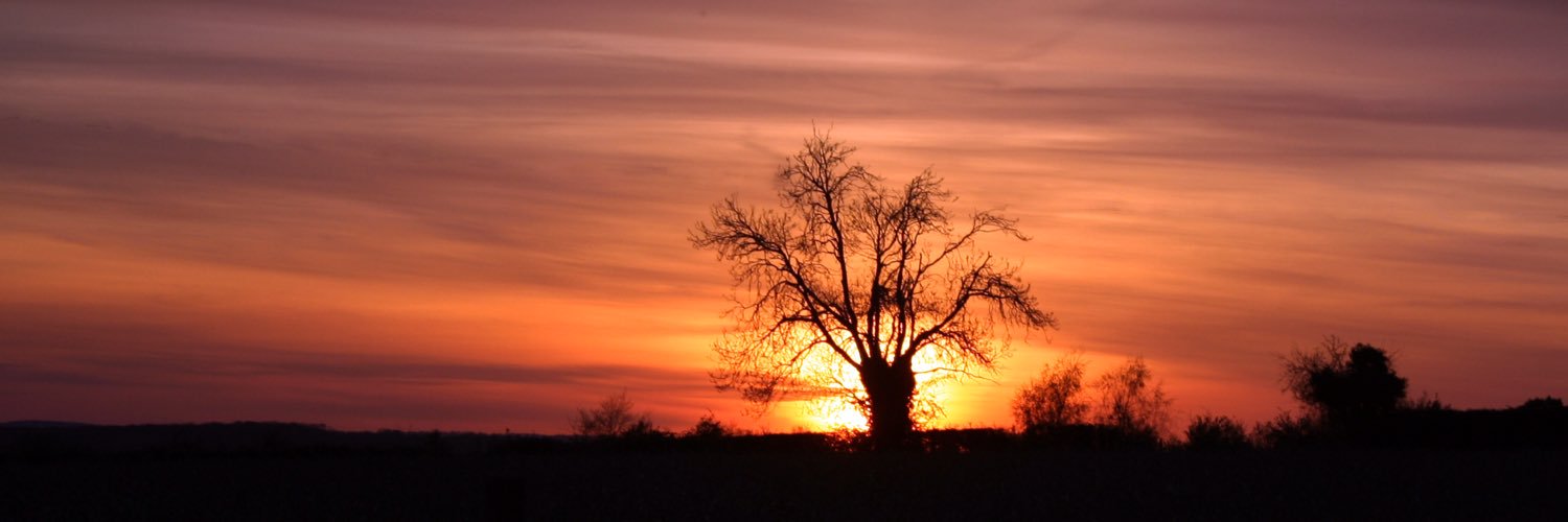 BlindMuddyWolf's profile banner image
