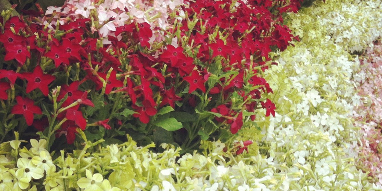KathyKereama's profile banner image