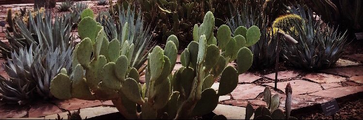 Brendan Munzer banner