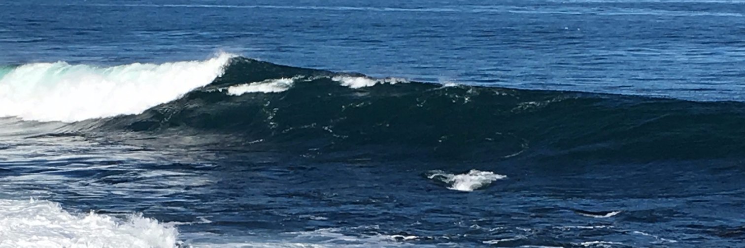 Politically Astute Thinker banner