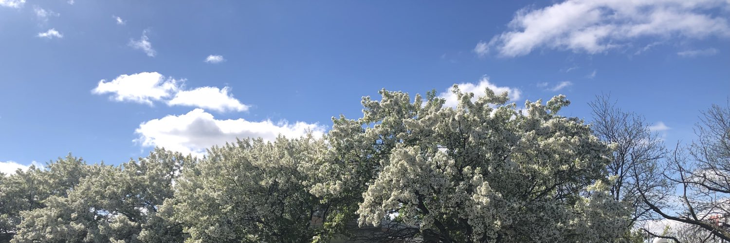 drewmarie banner