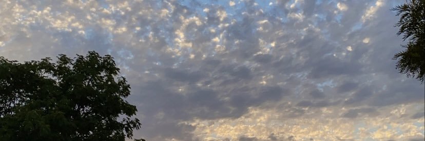 dooblece's profile banner image