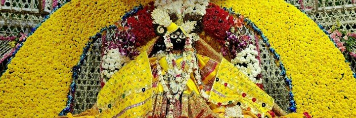 dharmendra96271's profile banner image