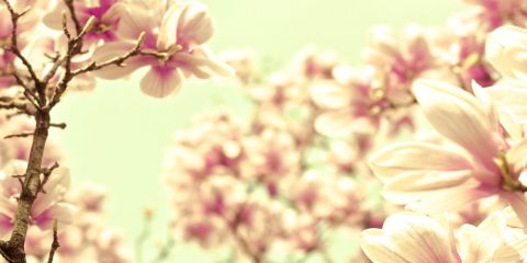 elganurf's profile banner image