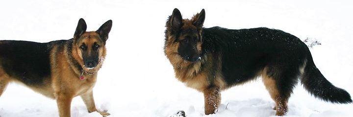 KapricaOne's profile banner image