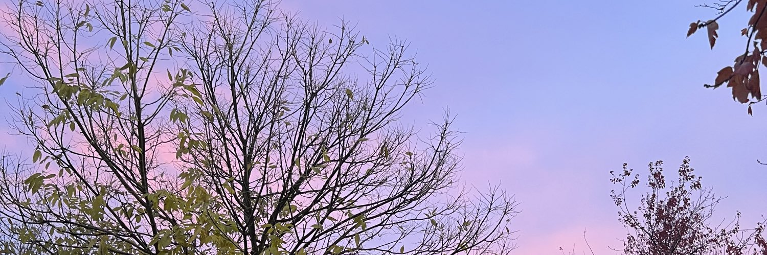 torrmoraga's profile banner image