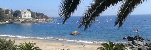 roch_qi Profile Banner