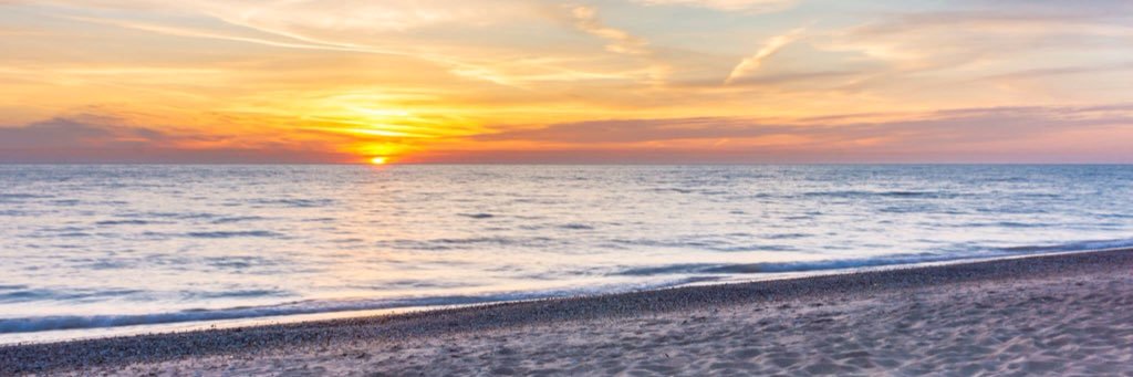 ldynred66's profile banner image