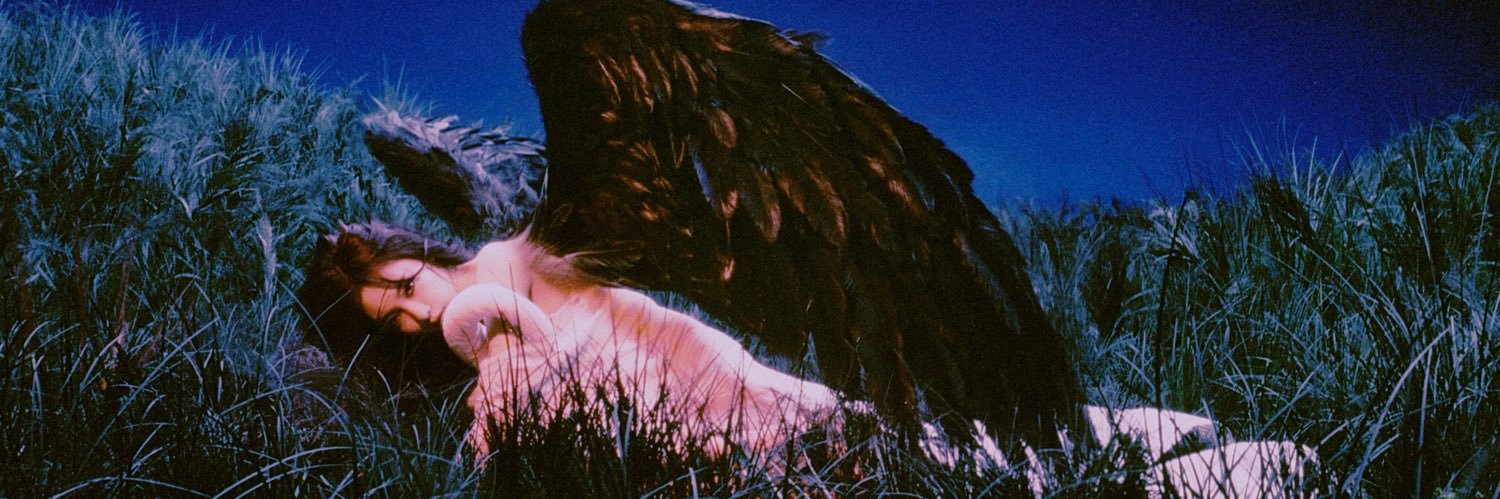 André 🍋‍🟩 banner