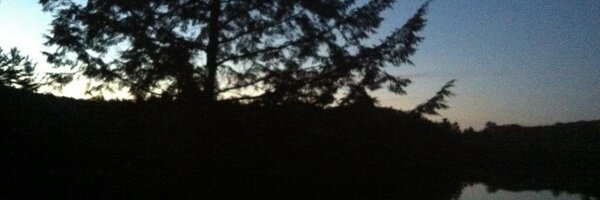 SarahLConnors Profile Banner