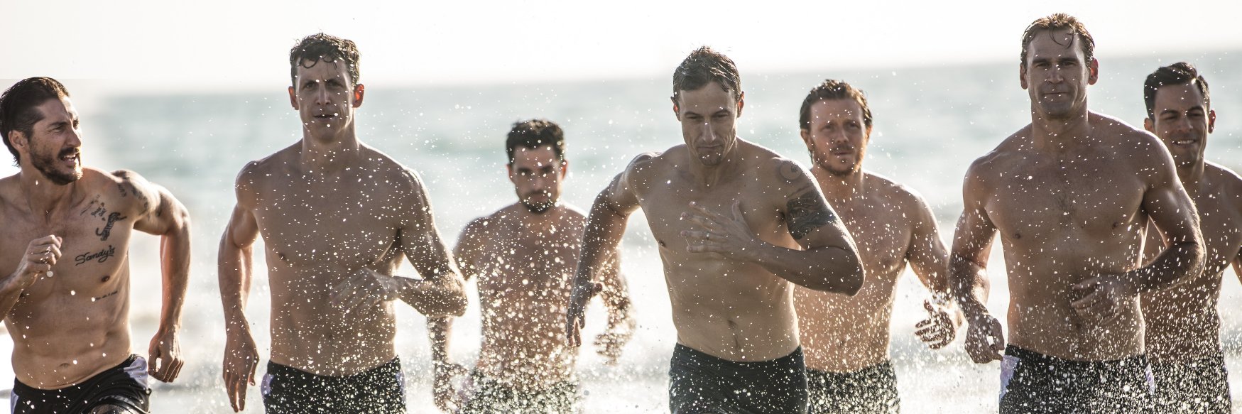 Training Mate banner