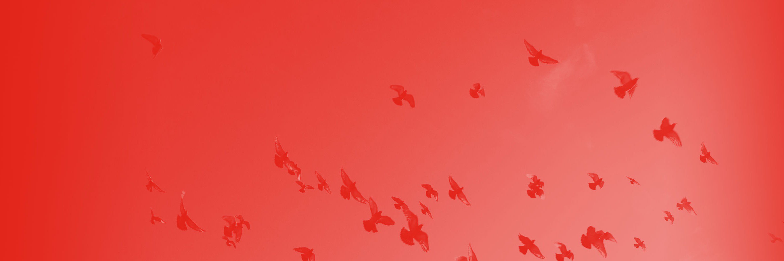redlabtweets's profile banner image