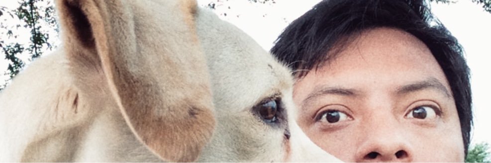 falsocadejo's profile banner image