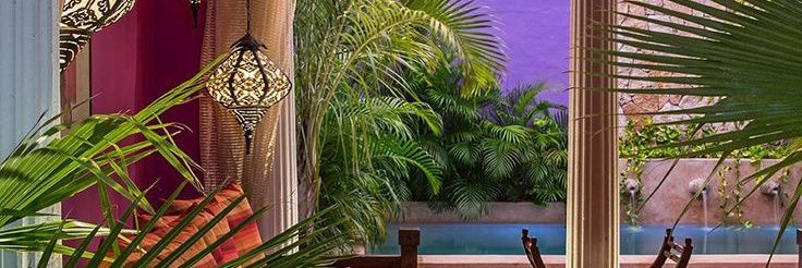 finafersa's profile banner image
