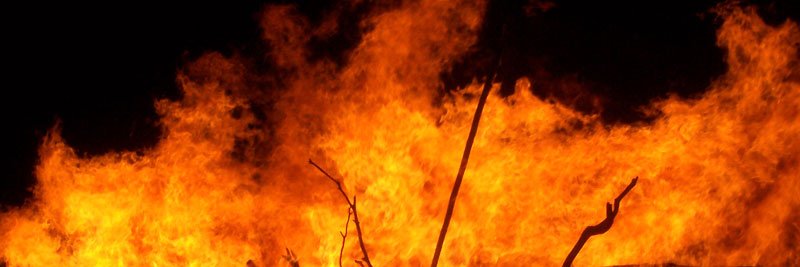 BurnsProtocol's profile banner image