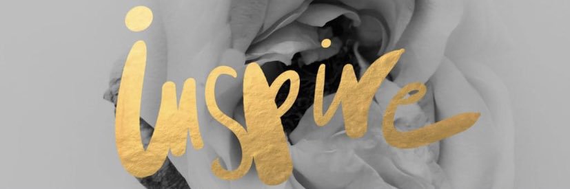 Monse banner