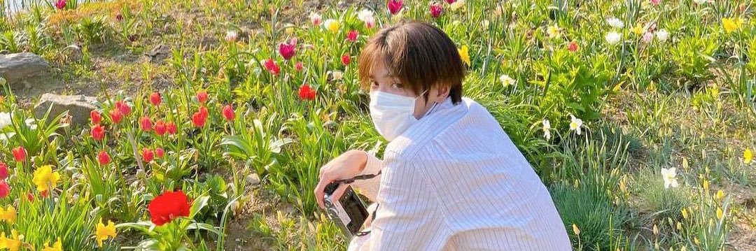 TY | 페리 ⭐️ 🌹 banner