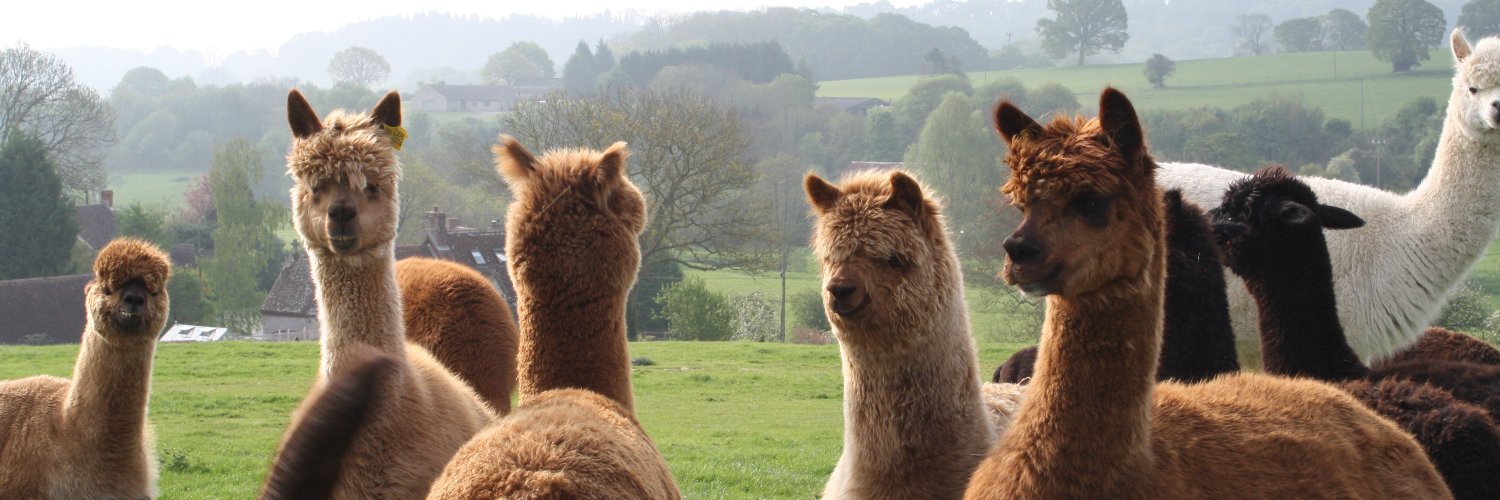 CaksS2's profile banner image