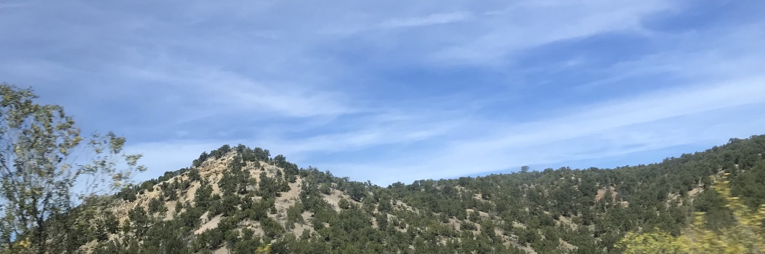 AllisonMD27's profile banner image