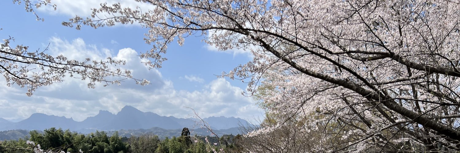 PacSetTravel's profile banner image