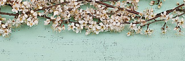 DemeYuan's profile banner image