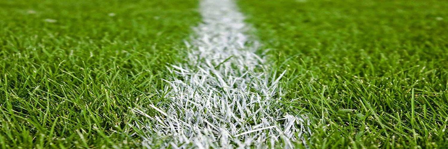 Rugbysups's profile banner image