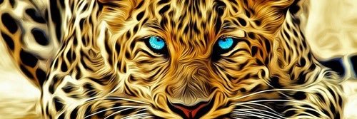 lillypreppy12's profile banner image